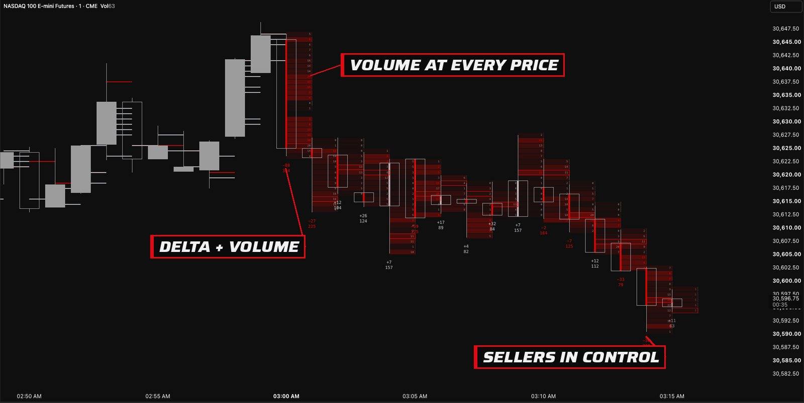 Footprint on a TradingView chart